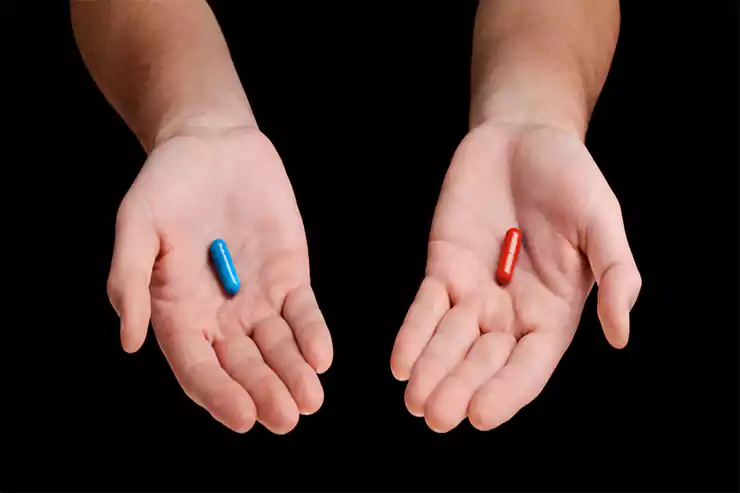 THE TRUTH ABOUT SUPPLEMENTS